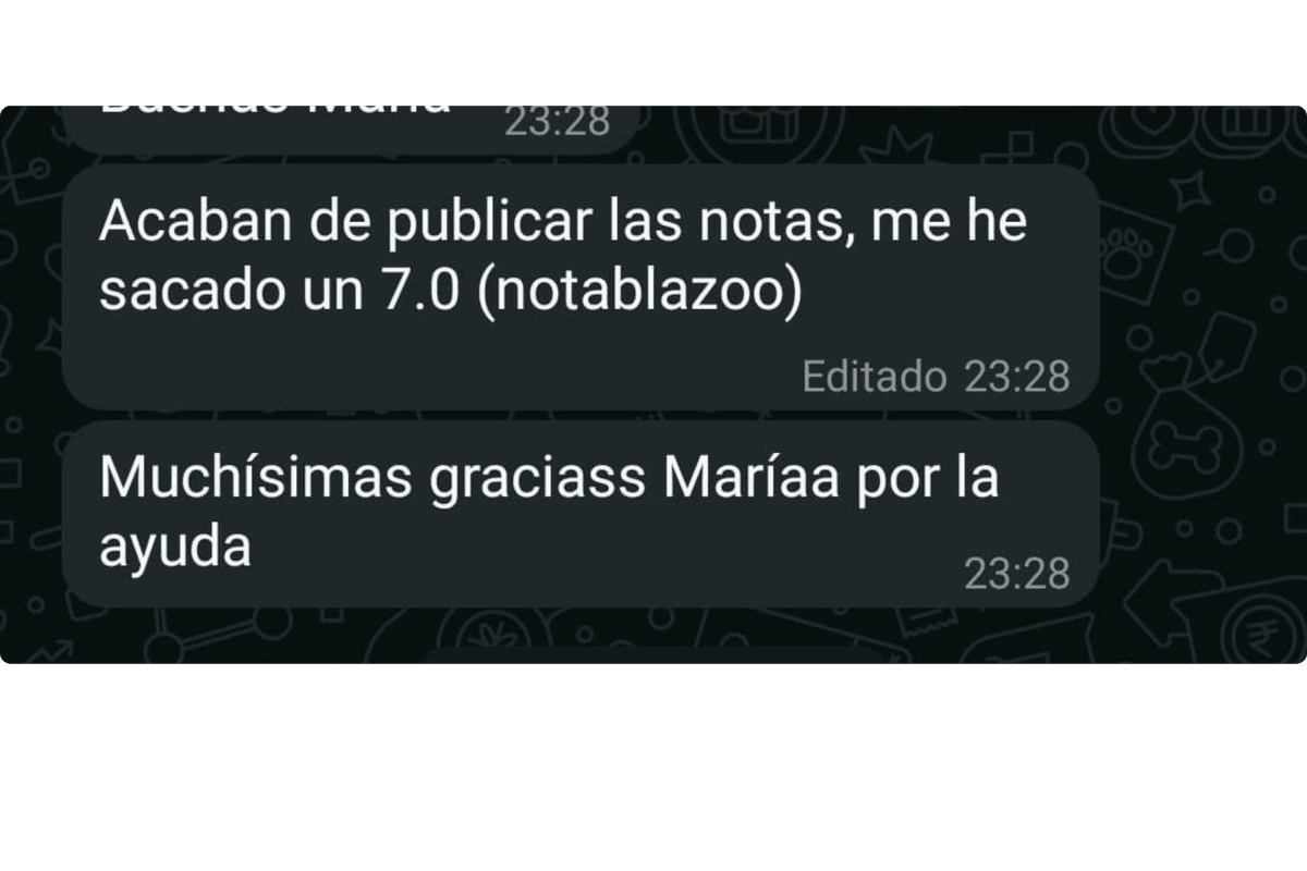 Descripción de la imagen